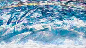 Ocean