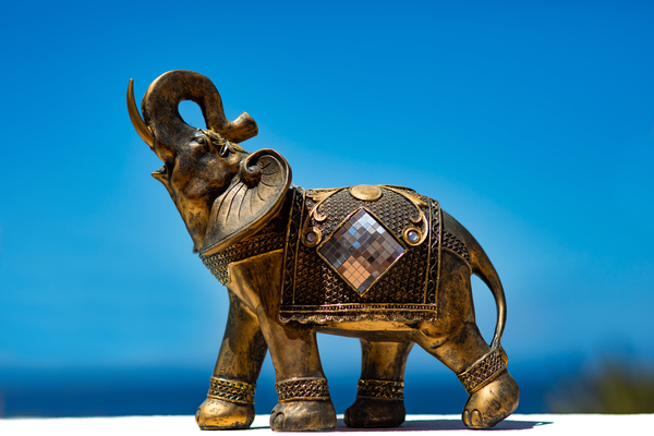 Lucky charm elephant by zeva