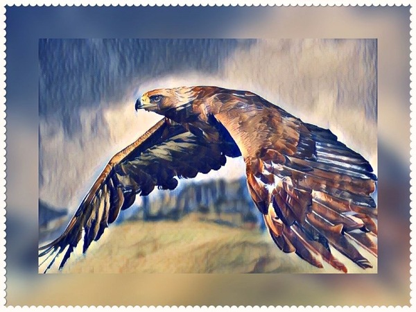 Eagle Sky Print