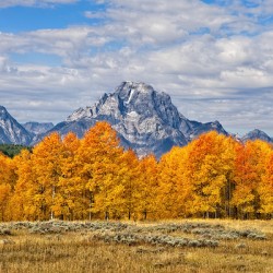 Mt Moran - Grand Teton NP  WY