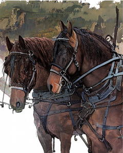two horses with harness
