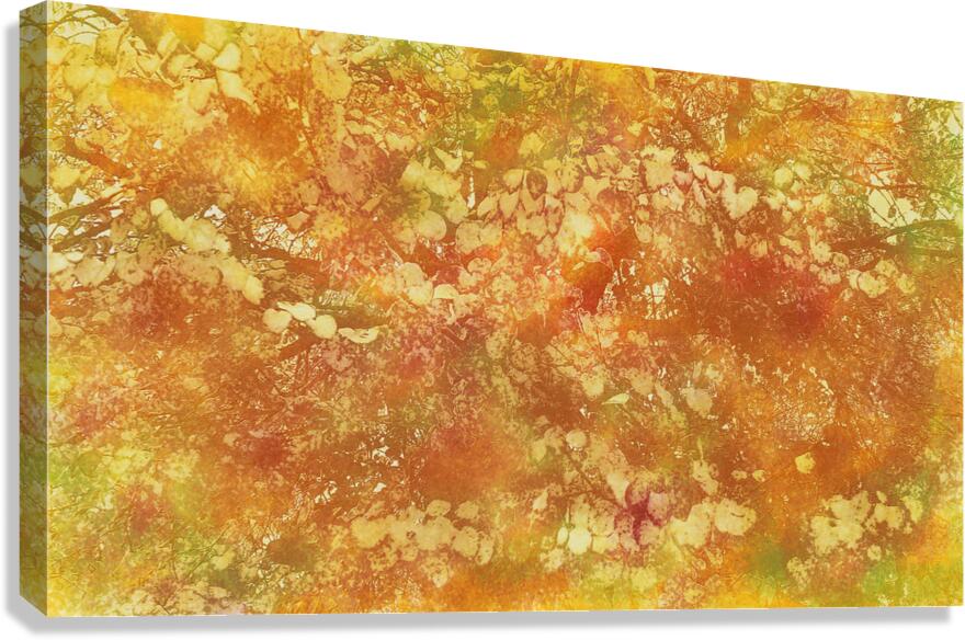 My Sisters Tree Canvas Print