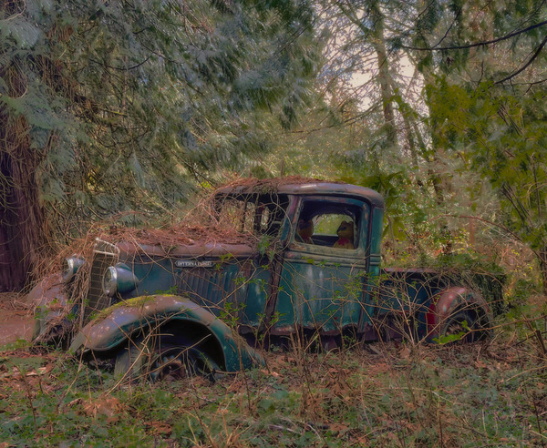Old International With Winnie the Poohs At the Helm & In the Passenger Seat by Gia Commodore