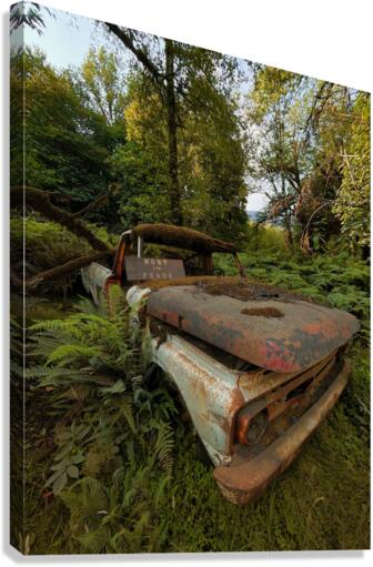 Rust In Peace Canvas Print