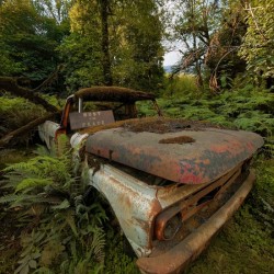 Rust In Peace
