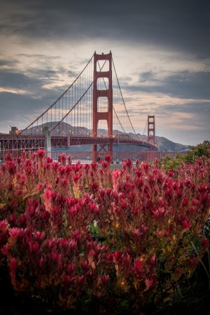 Golden Gate Bridge
