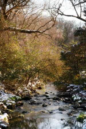 Tennessee