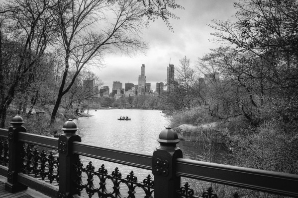 Central Park Print