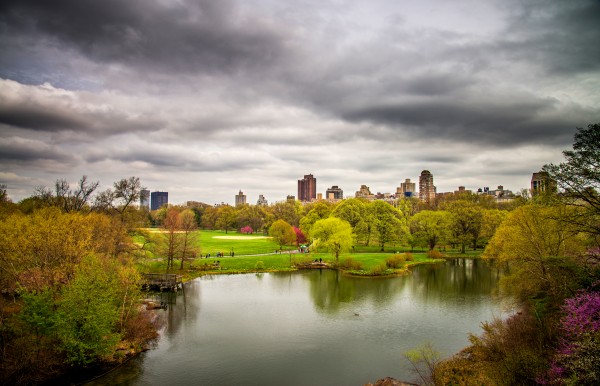 Central Park Print