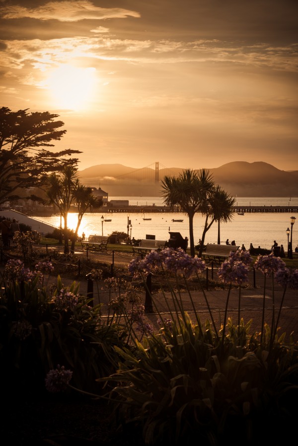 Golden Gate Bridge by Billy Johnson