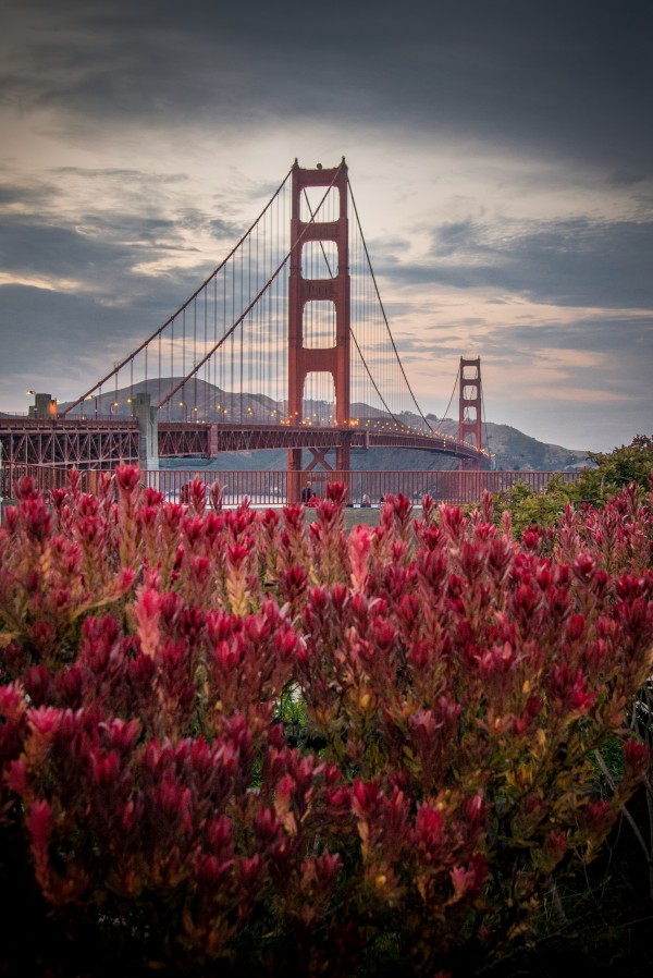 Golden Gate Bridge Print