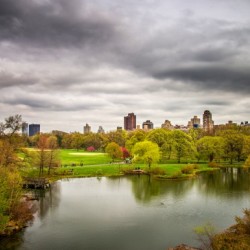 Central Park