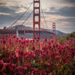 Golden Gate Bridge