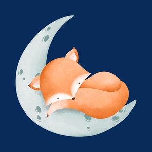 Fox on moon  