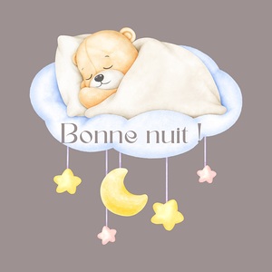 Good night baby bear  1