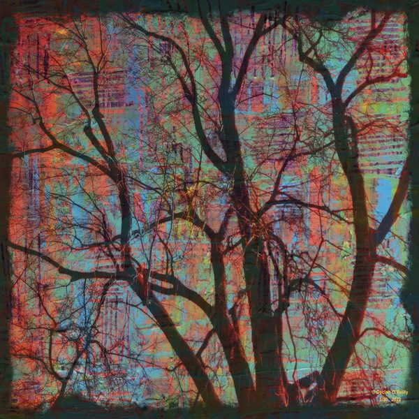 Natures Capillaries Print