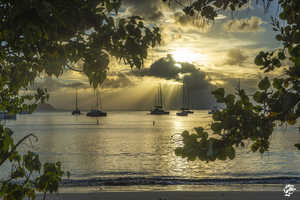 Cane Garden Sunset