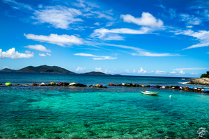 Carrot Bay Boat