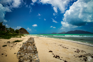 Long Bay Wall
