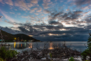 Sea Cows Bay Sunrise