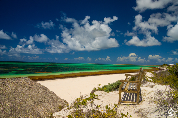 A Bench in Paradise  Print