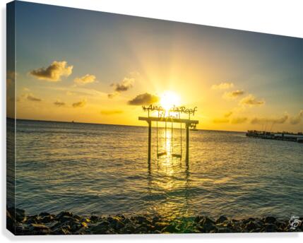 Anegada Reef  Canvas Print