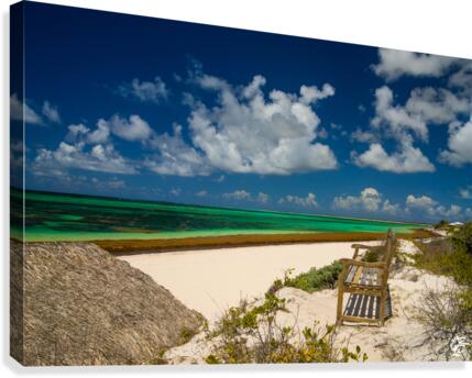 A Bench in Paradise  Canvas Print