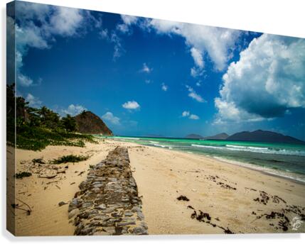 Long Bay Wall  Canvas Print