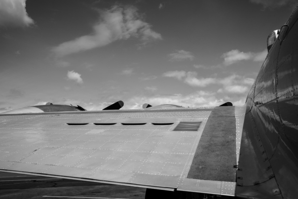 B-17 Wing Print