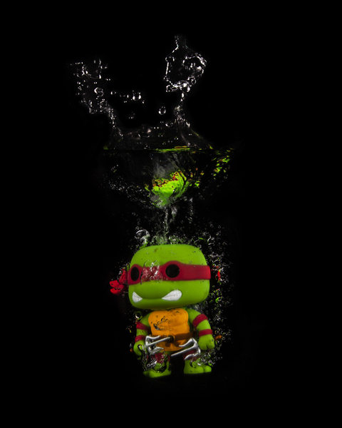 Raphael Print