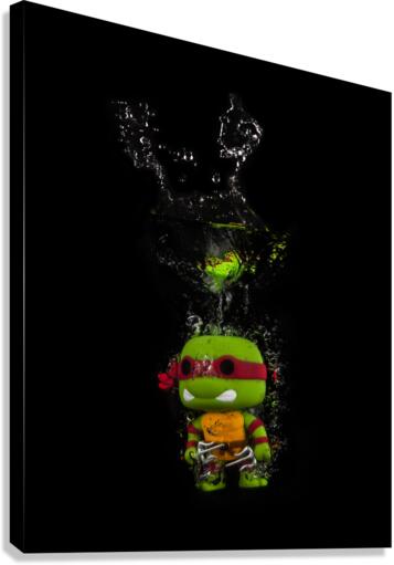 Raphael Canvas Print