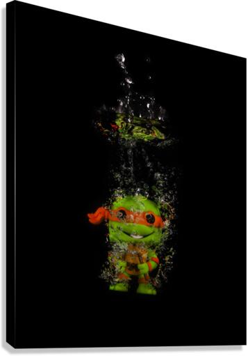 Michelangelo Canvas Print