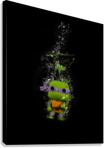 Donatello Canvas Print