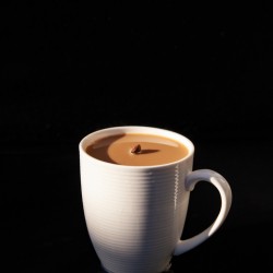 Coffee Bean