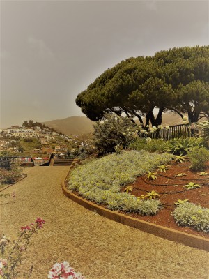 Madeira   A