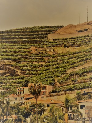 Madeira   B