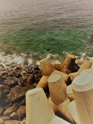 Madeira   M