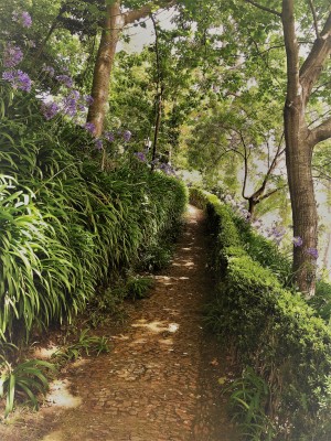 Madeira   T