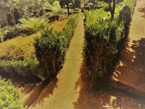 Madeira   W