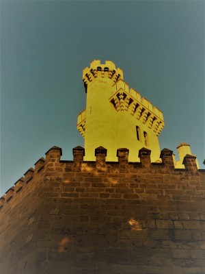 Mallorca   D