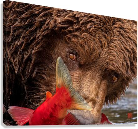 The Stare Canvas Print