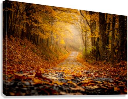 Fallen leaves  Canvas Print
