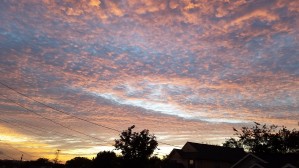 God's Masterpiece