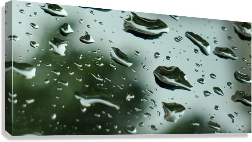 Water Drops Canvas Print