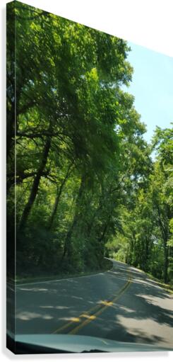 The Countryside Canvas Print