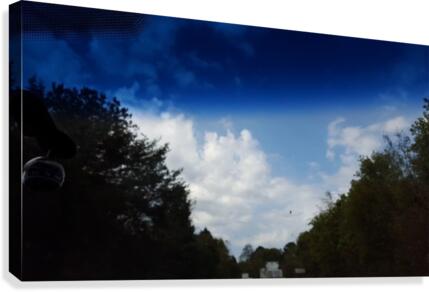 Vision Canvas Print