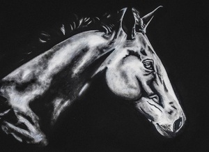 dark horse by abhi 2 orig