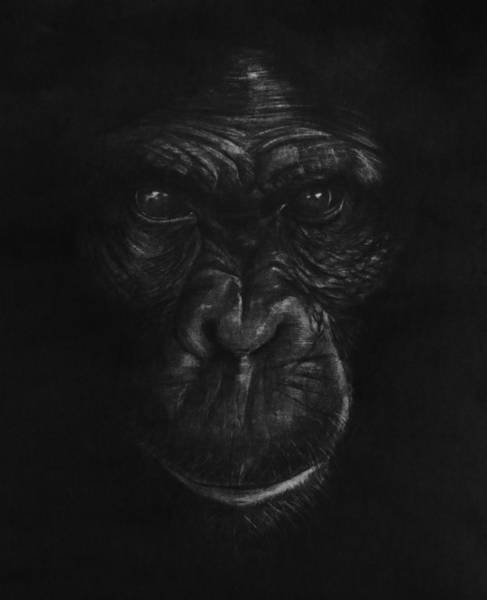 The King Ape Print