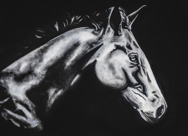 dark horse by abhi 2 orig Print