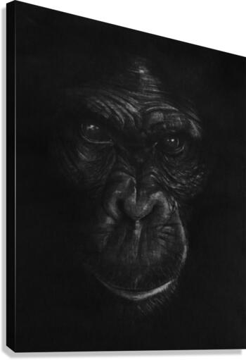 The King Ape Canvas Print